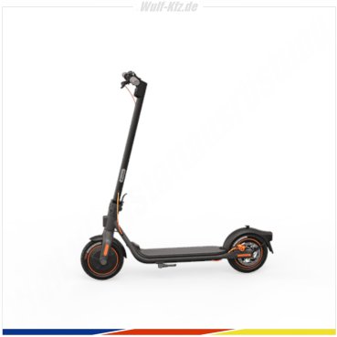 Ninebot E-Scooter F40D / 100 Punkte